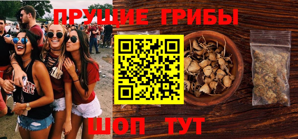 Новоуральск  Галлюциногенные грибы Magic Shrooms  Вход с VPN  Галлюциногенные грибы GOLDEN TEACHER 